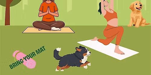 Midweek Reset: Sol Guided Flow