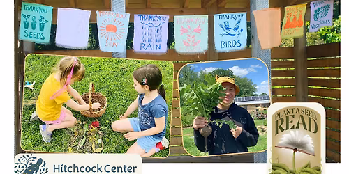 Breezy Seeds Engineering Challenge