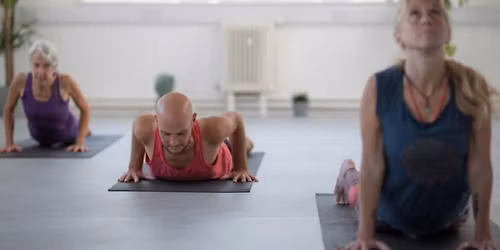 Beginners Yoga 6 Week Course: Level 1