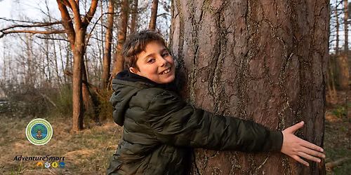 Hug-a-Tree and Survive