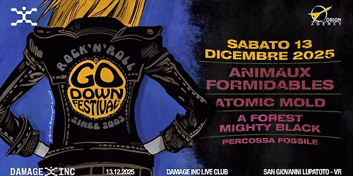 GO DOWN FESTIVAL @ DAMAGE INC with ANIMAUX FORMIDABLES + ATOMIC MOLD +A FOREST MIGHTY BLACK +MORE