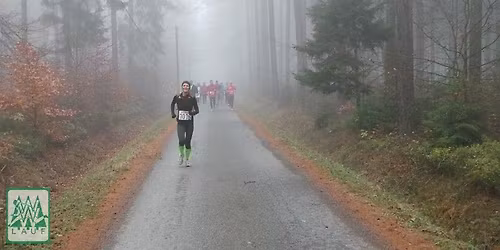 Werdauer Waldlauf 2026