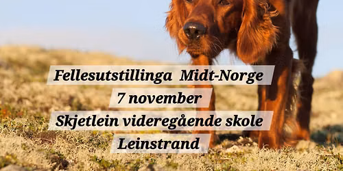 Fellesutstillinga Midt-Norge 2026