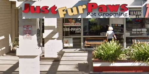 Mission Viejo - Dog dental cleaning