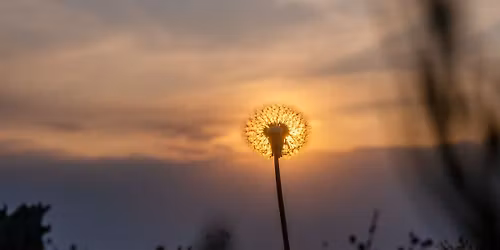 1-dagskonference: Selvhelbredelse