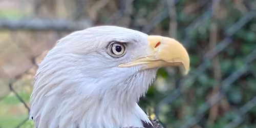 Superheros of the Sky