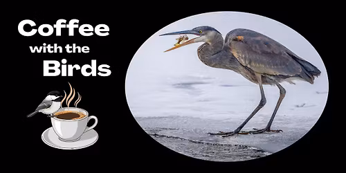 Coffee with the Birds