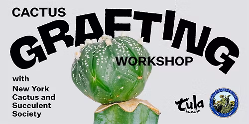 Cactus Grafting Workshop