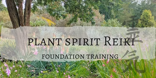 Plant Spirit Reiki Foundation Training weekend with founder, Fay Johnstone in Upminster, Essex