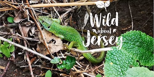 Reptilewatch JE Monitoring Scheme 2026