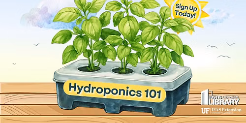 Hydroponics 101 