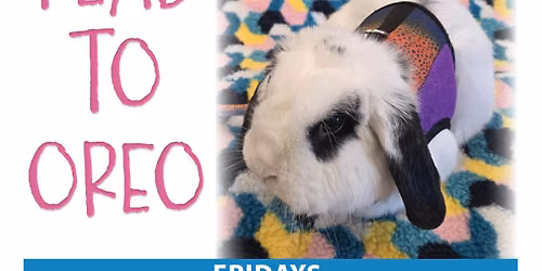 Read to Oreo