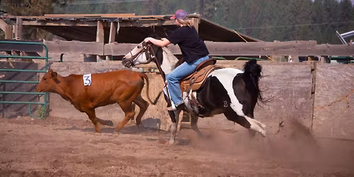 Sorting Clinic - 1\/2 day ( All Levels)