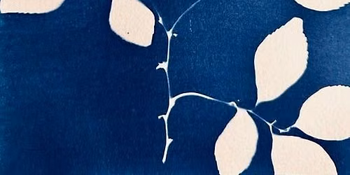 Create Beautiful Blue Botanical Prints: A Cyanotype Workshop