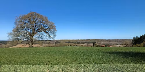 Midlife Hikers walk at Hovingham and Annual Meeting