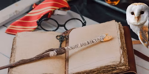 North Carolina Symphony - The Music Of Harry Potter