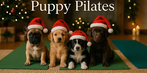 Puppy Pilates Christmas Special - King's Lynn