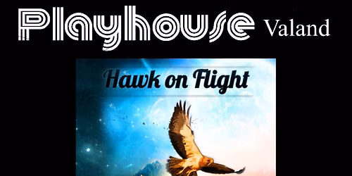 Hawk on flight
