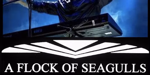 A Flock of Seagulls