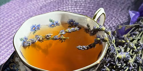 Lavender tea workshop 6\/7