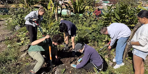 November Working Bee