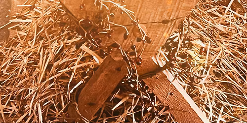 Christmas Eve Service