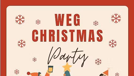 WEG Christmas Party