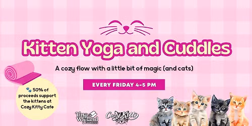 Kitten Yoga & Cuddles