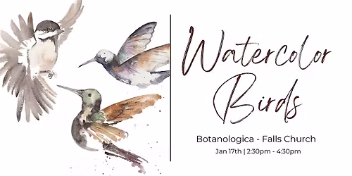 Watercolor Workshop - Birds