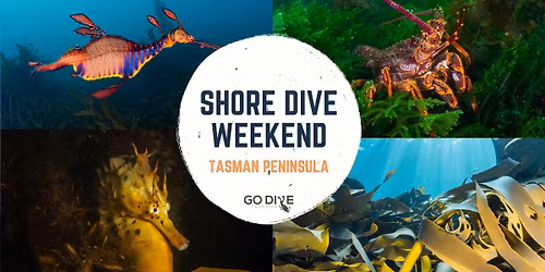 Weekend Shore Diving at the Tasman Peninsula - With Divemaster Jody