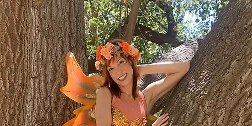 A Faery Hunt Magical Adventure