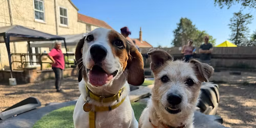 Rescue Dog and Cross Breed Social!