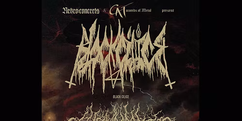 CATacombs Of Metal XXXVIII