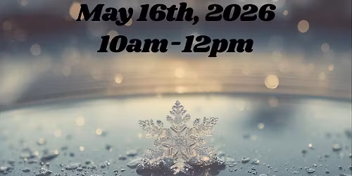 Frosted Frames: Coffee and Cars