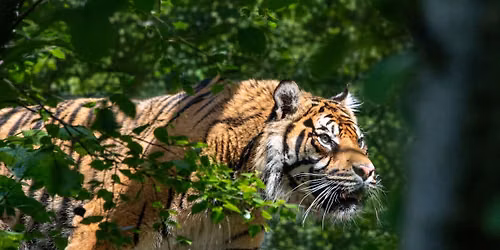 Junior Nature Photography Workshop