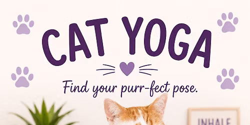 Yoga with Cats