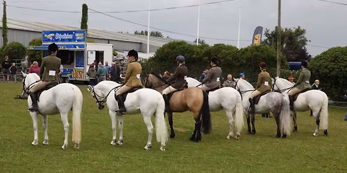 Claregalway Agricultural Show