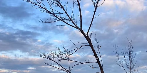 Naples City Council Environmental Candidate Forum