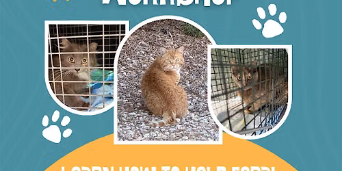 TNR Workshop