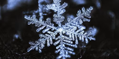 Mr & Miss Snowflake Pageant