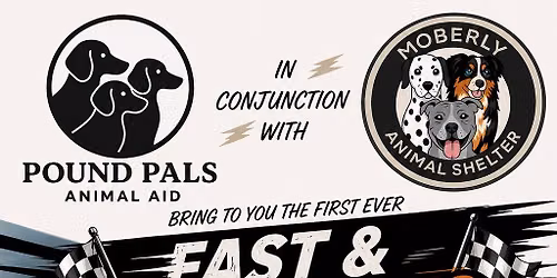 FAST & FURRY-IOUS MOUSE RACES 