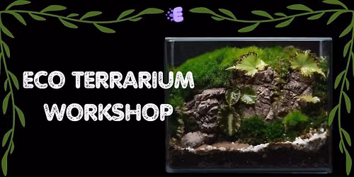 Eco Terrarium Workshop