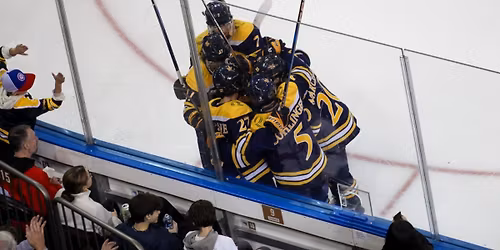Parking Quinnipiac Bobcats at RPI Engineers Mens Hockey