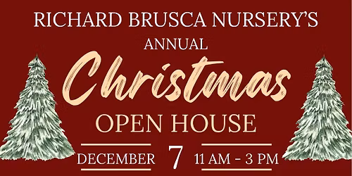 Christmas Open House