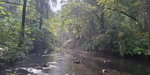 S\u00e3o Tom\u00e9: za nejmen\u0161\u00edm ibisem sv\u011bta