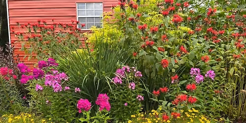 Garden Tour at Sienna Gardens.