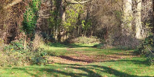 Bug hunt and nature walk - Springfield Park, Kidderminster