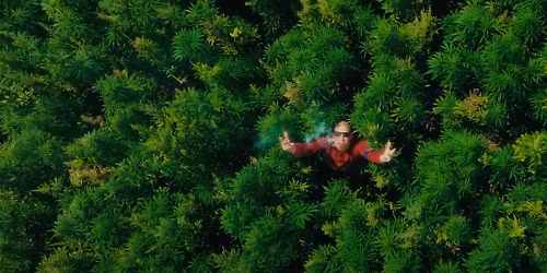 Chillinit in Newcastle