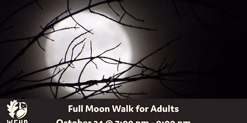 Full Moon Walk for Adults 
