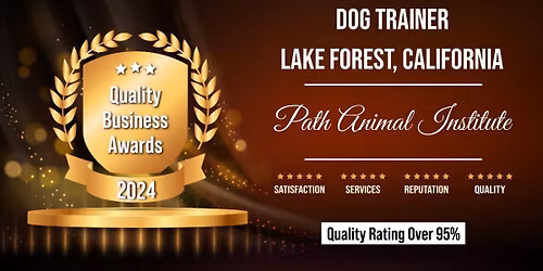 PACT Pack Walk & Manners Training